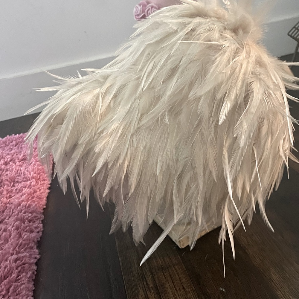 Beautiful feather hat